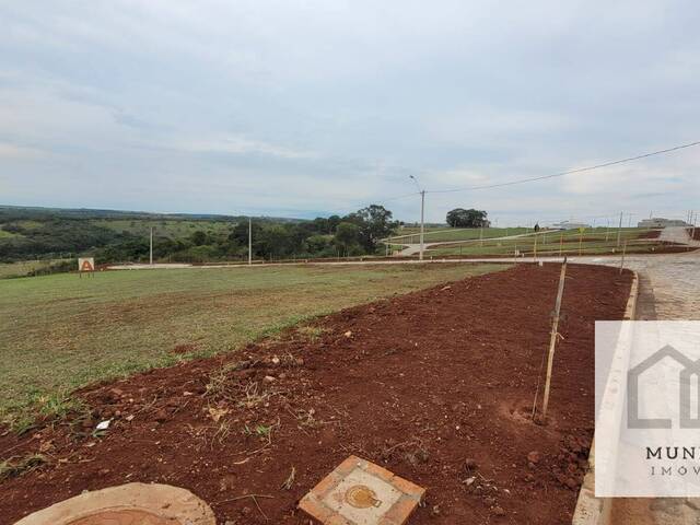 Terreno para Venda em Piraju - 5