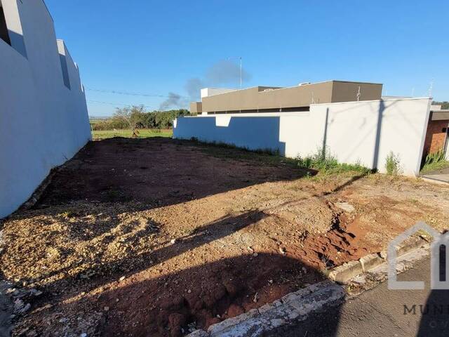 #134 - Área para Venda em Piraju - SP - 3