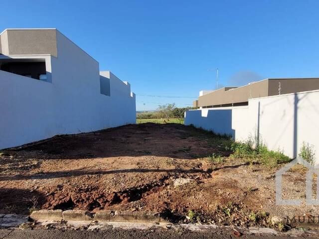 #134 - Área para Venda em Piraju - SP - 1